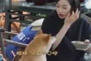 吃瓜娱乐八卦的视频,揭秘明星幕后故事，吃瓜群众必看！